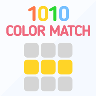 1010 Color Match